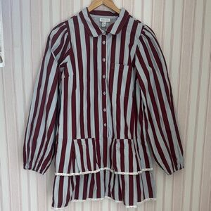 Striped Button-Up Peplum Blouse in Burgundy and Light Blue